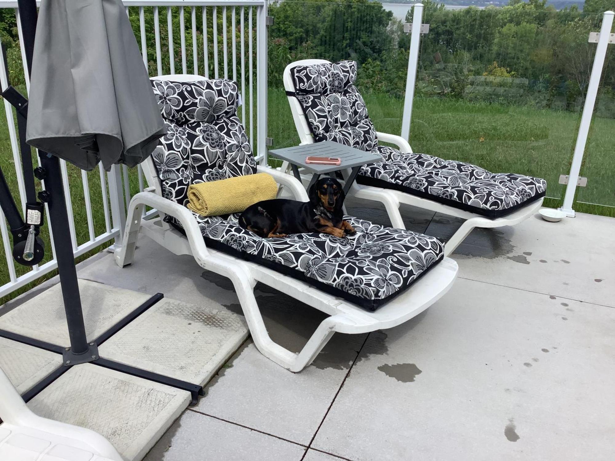 Bed and Breakfast Les Saisons Du Fleuve Lotbiniere Zewnętrze zdjęcie